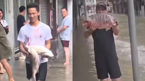 [VIDEO] Siapa Sangka Super Taufan Ragasa Hadiahkan ‘Seafood Buffet’ di Tengah Bandar Macao