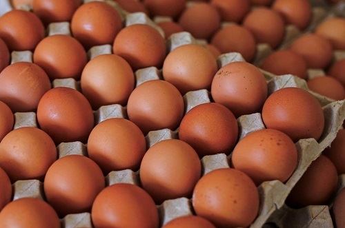 egg supplies remain stable