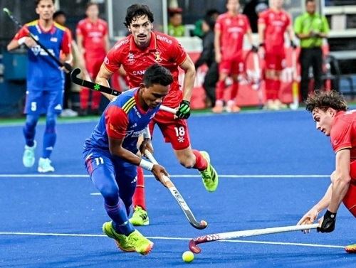 speedy tigers grind to a halt