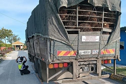 no going easy on overloaded lorries