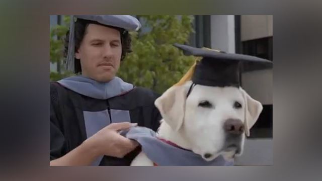 moose, anjing yang menerima ijazah doktor kehormat kerana bantu tangani stres