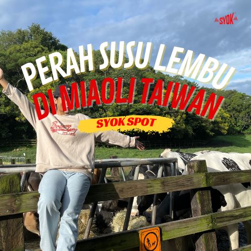 SYOK TRY: Perah Susu Lembu Di Miaoli Taiwan