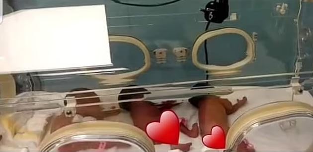 luar biasa, wanita ini lahirkan bayi kembar sembilan!