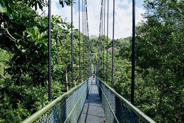 盘点新加坡「10个免费景点」！让你穷游新加坡！