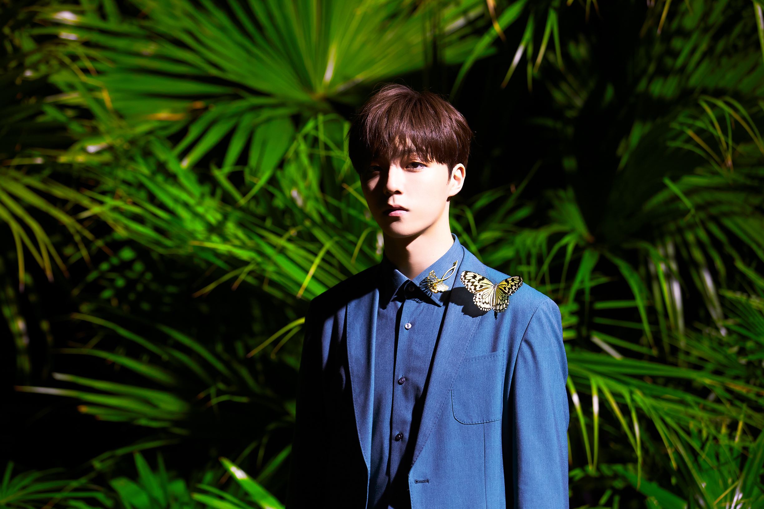 陈立农全新专辑前导单曲《我梦见你》上线，诠释“思念”尽展出色演唱实力！