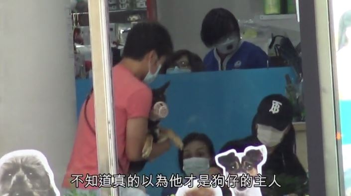 黄心颖有新男友了？两人一起带狗狗去做手术，还养同品种狗！