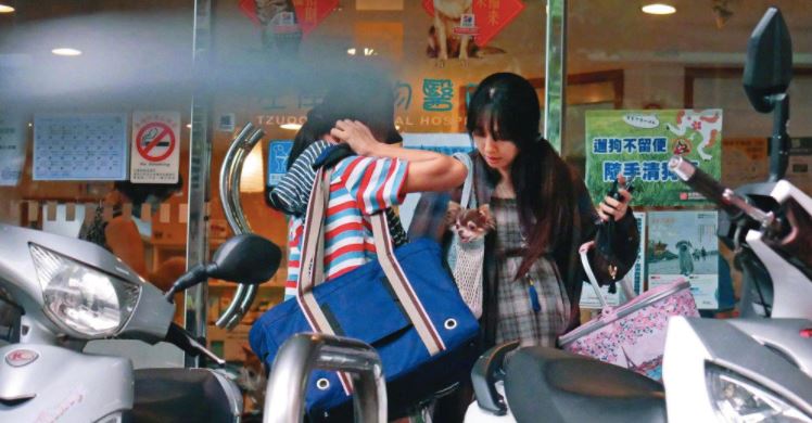 郭碧婷素颜现身宠物医院，穿宽松长裙挺着大肚子孕味十足！