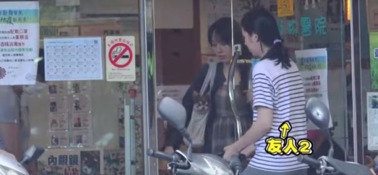 郭碧婷素颜现身宠物医院，穿宽松长裙挺着大肚子孕味十足！