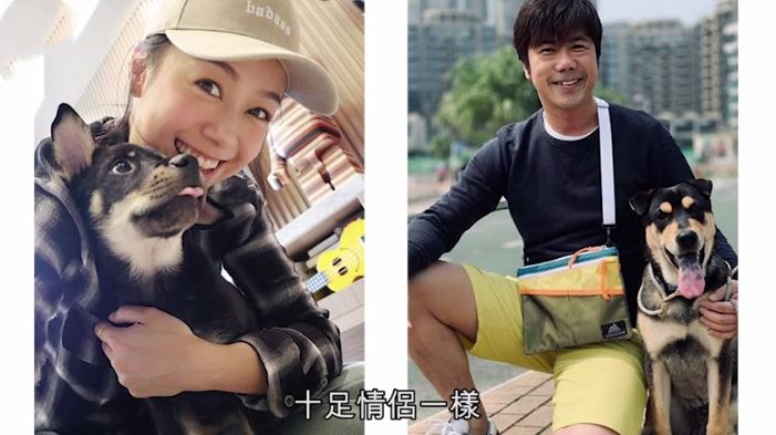 黄心颖有新男友了？两人一起带狗狗去做手术，还养同品种狗！