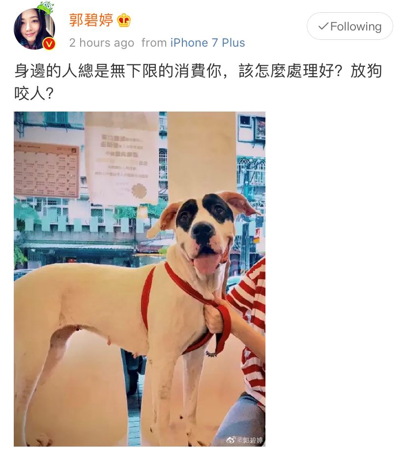郭碧婷发文称受委屈，婆婆向太暖心安慰：叫萧敬腾的狗去咬他！