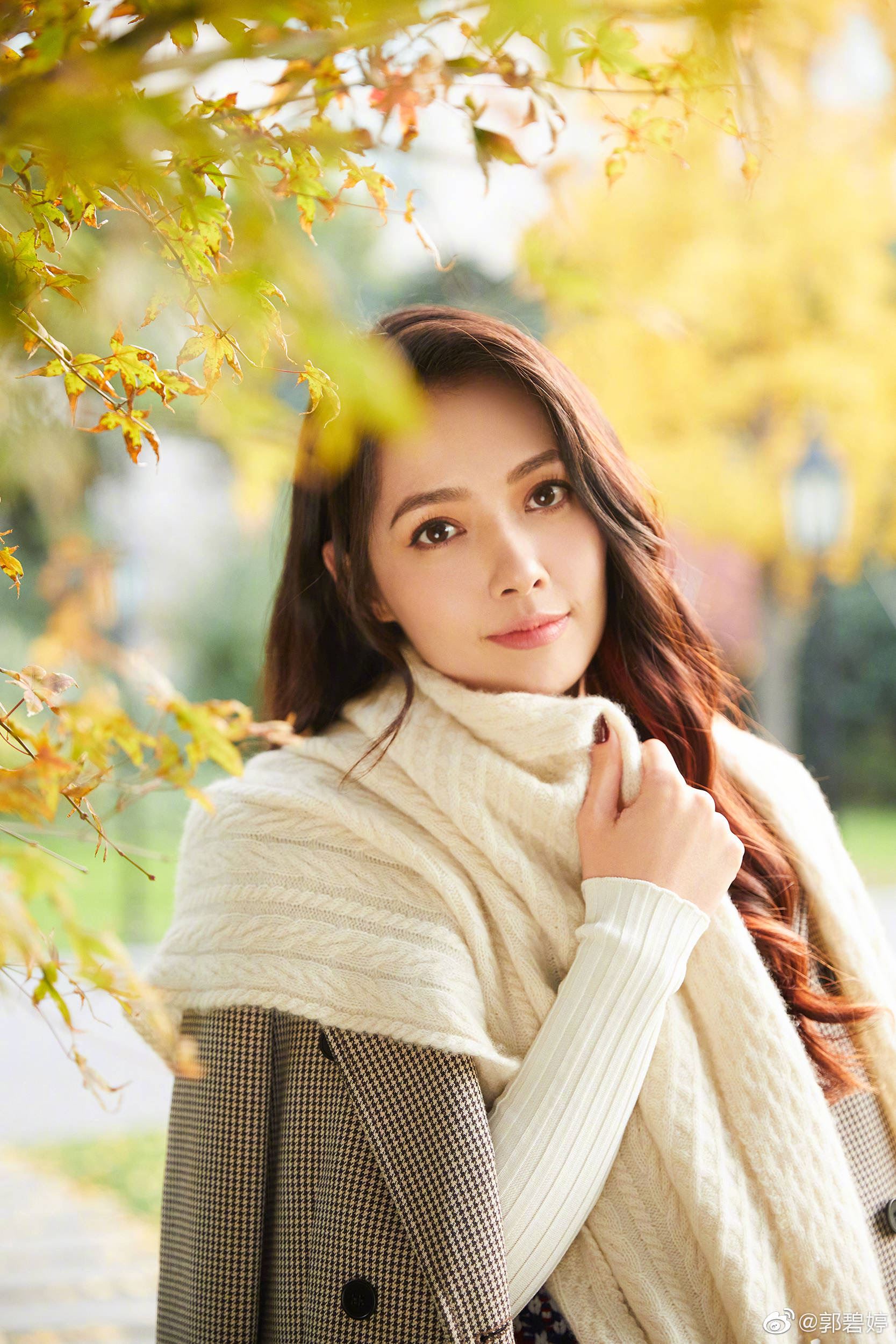 郭碧婷发文称受委屈，婆婆向太暖心安慰：叫萧敬腾的狗去咬他！