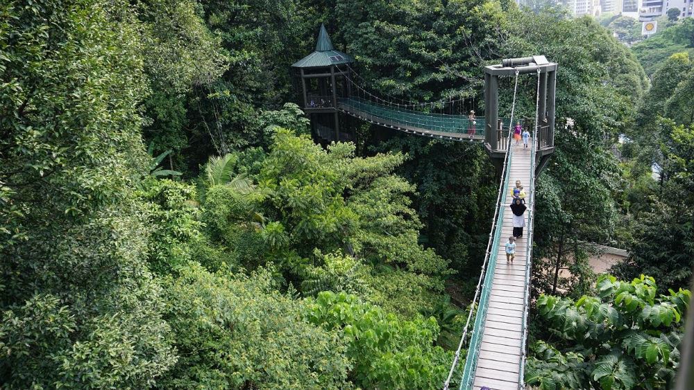 don’t just stay home this august school break!