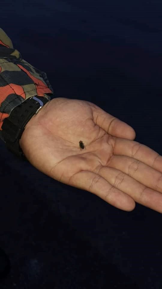 this isn’t what firemen are for