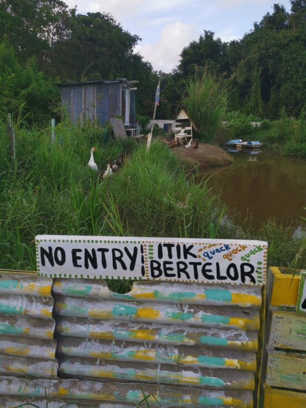 we aren’t kitten, this cat island actually exists!