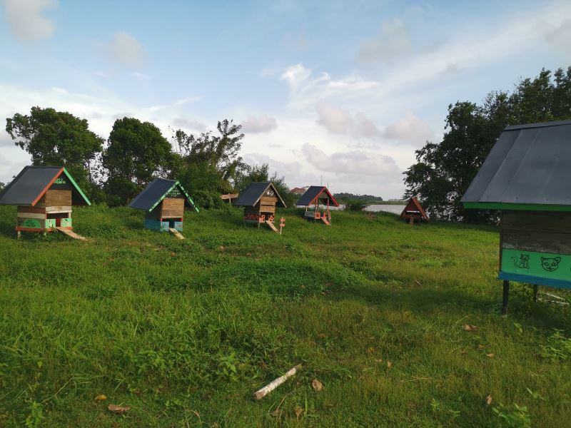 we aren’t kitten, this cat island actually exists!