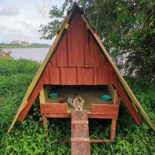 we aren’t kitten, this cat island actually exists!
