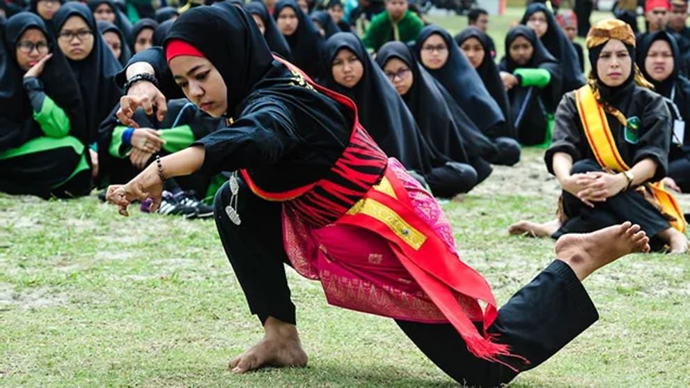 silat is now recognised by unesco!