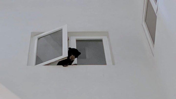 10 things that happened in 2019 that you almost forgot about