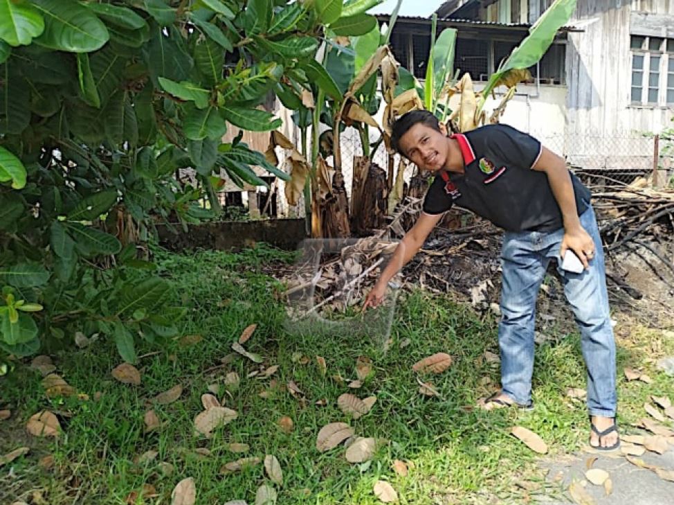 a cat came to the rescue of an abandoned baby in kota bharu