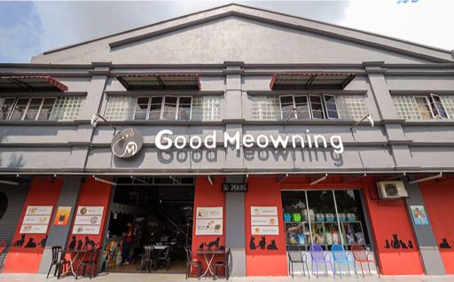 4 pet cafes in kl that will surely 