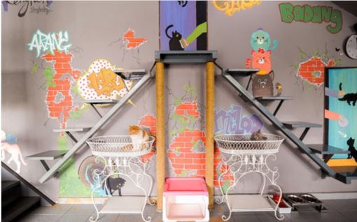 4 pet cafes in kl that will surely 
