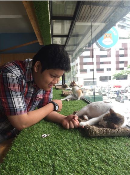 4 pet cafes in kl that will surely 