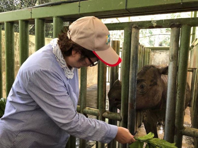 bidding farewell to iman, the last sumatran rhino