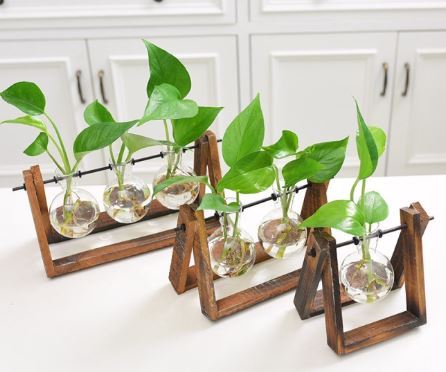 4 easy ways to turn your space into a mini-forest paradise if you