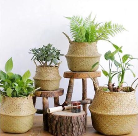 4 easy ways to turn your space into a mini-forest paradise if you
