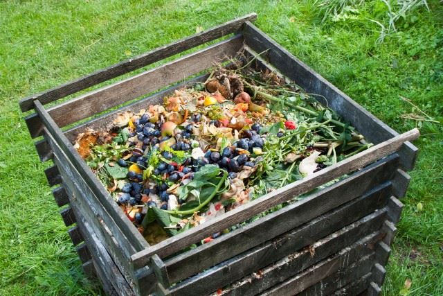 6 ways you can reuse food remains at home because wasting is not cool