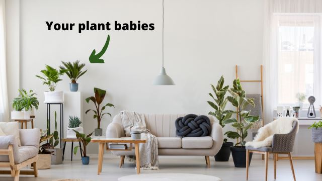 4 easy ways to turn your space into a mini-forest paradise if you