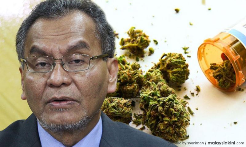 no more lows, only legal highs