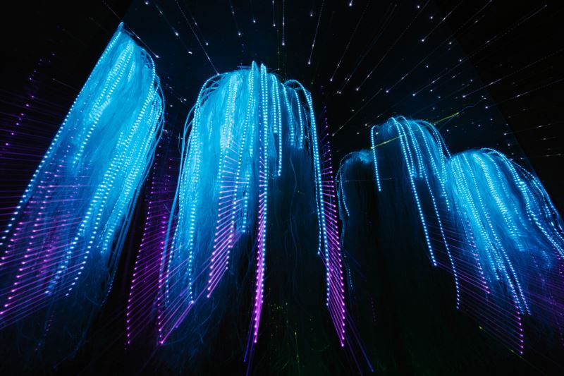 light up at inyala 2019