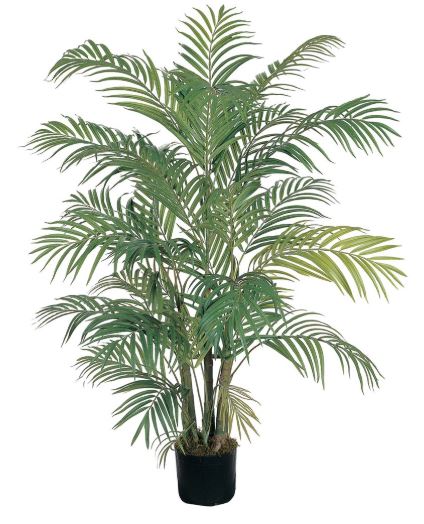 4 easy ways to turn your space into a mini-forest paradise if you