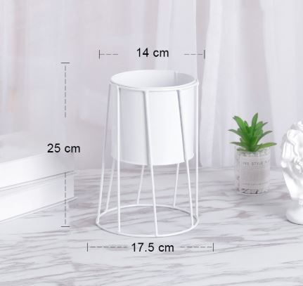 4 easy ways to turn your space into a mini-forest paradise if you