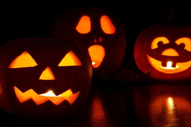 5 tips on surviving halloween