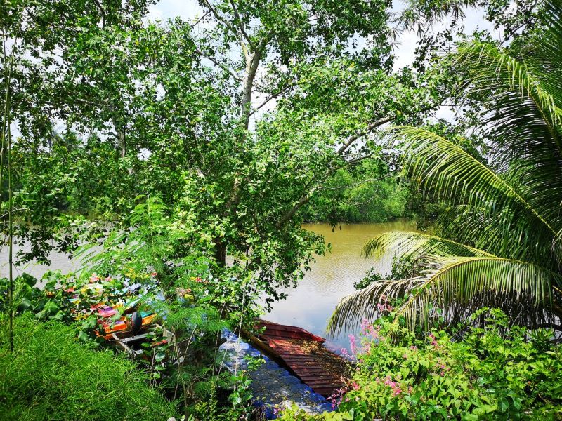 farewell concrete jungle, hello backyard jungle