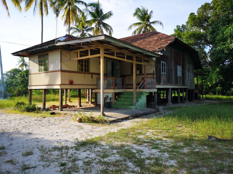 farewell concrete jungle, hello backyard jungle