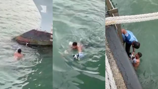 Malaysians Applaud Brave Man For Jumping Into Ocean To Save Stranded Cat!
