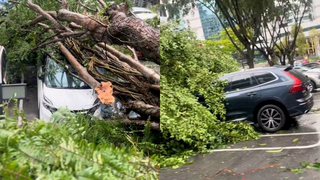 Check the Weather Before Heading Out! Storm and Flood Safety Tips for Malaysians