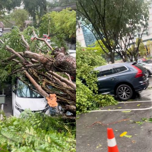 Check the Weather Before Heading Out! Storm and Flood Safety Tips for Malaysians