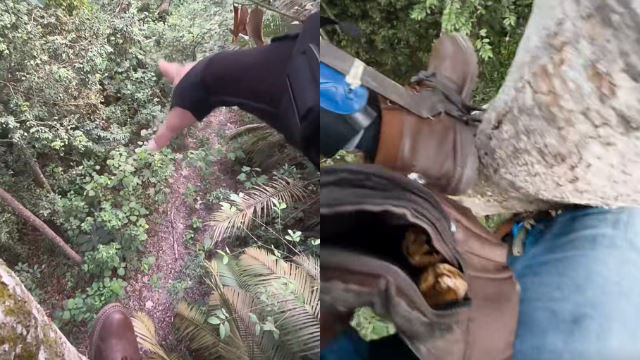 M’sians Divided! Man Allegedly Trapped by Tiger Goes Viral After Sharing Survival Video
