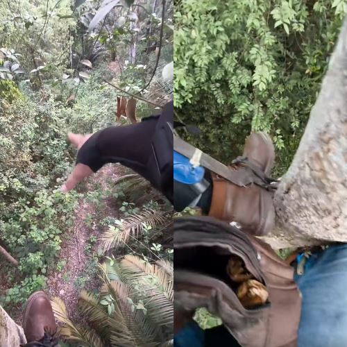 M’sians Divided! Man Allegedly Trapped by Tiger Goes Viral After Sharing Survival Video