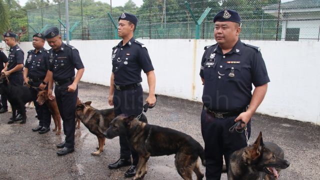 Malaysians Can Give Retired Police K9 Dogs A Forever Home Through PDRM’s Adoption Programme