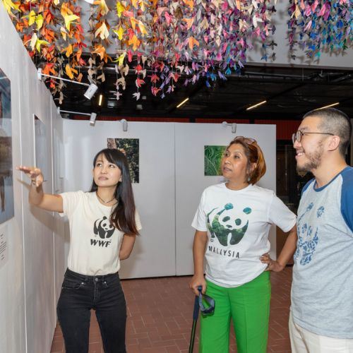 WWF-Malaysia’s “Eyes on the Wild” Contest drives wildlife conservation awareness through photography