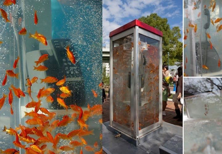 pondok telefon bertukar kepada akuarium pasti buat anda terkejut