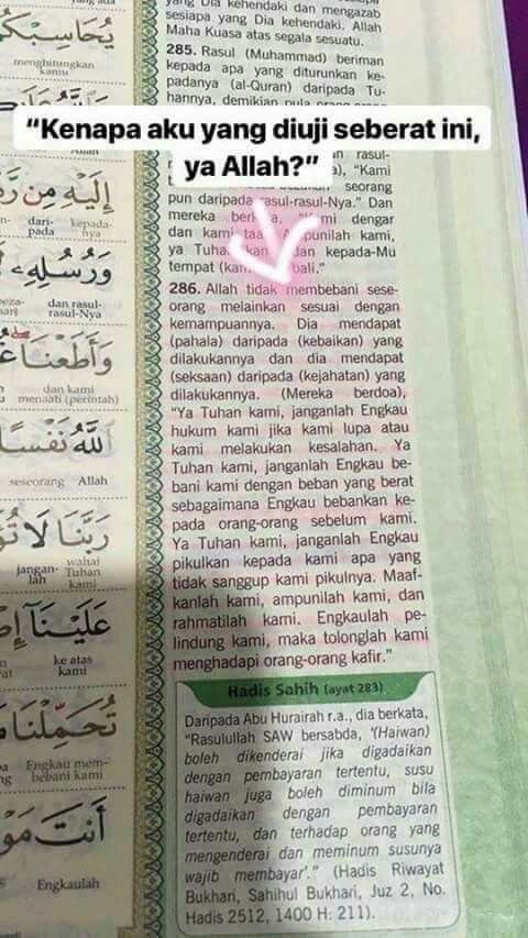 anda merasa hidup anda penuh ujian dan dugaan? cuba lihat ini