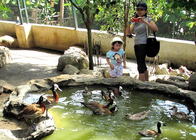 7 tempat menarik di musim cuti sekolah