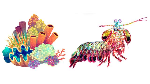 apa benda earth day quiz yang tengah trending dekat media sosial ni sebenarnya?