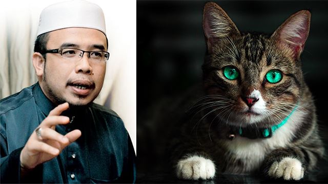 mufti perlis menasihatkan jangan bela kucing sekiranya mengganggu jiran